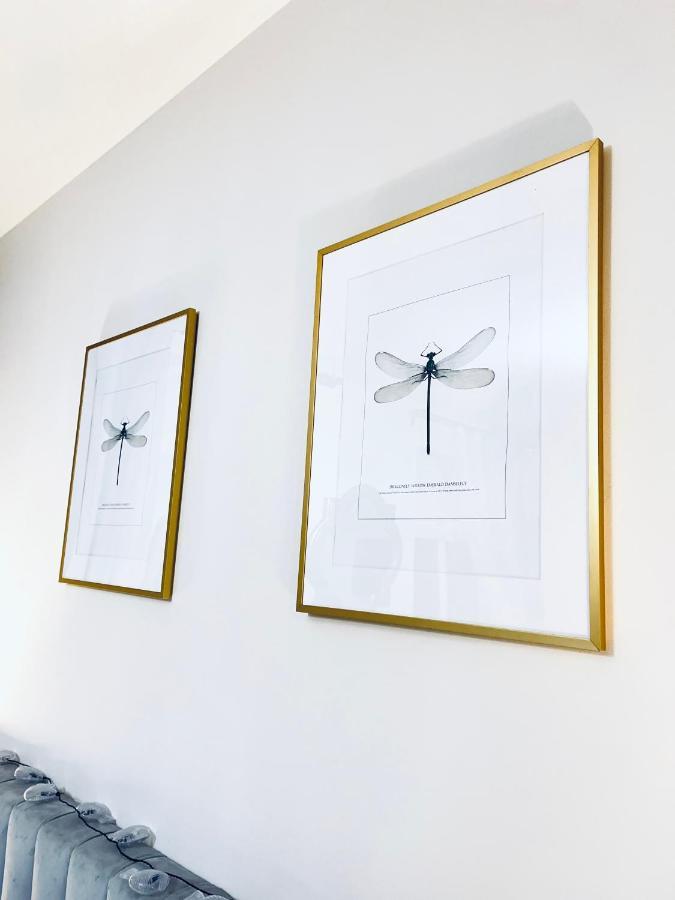 Apartment Kamienica Arte 2